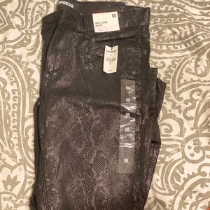 Express Printed Pants